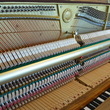 1987 Yamaha P22 studio piano, oak - Upright - Studio Pianos